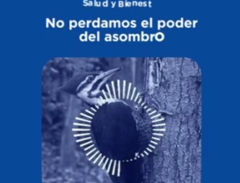 El poder del asombro: aprender a mirar nuevamente